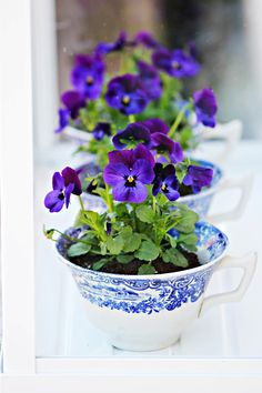Got some old mugs/teacups in the cupboard you rarely use? Why not pretty them up with some sweet violas?